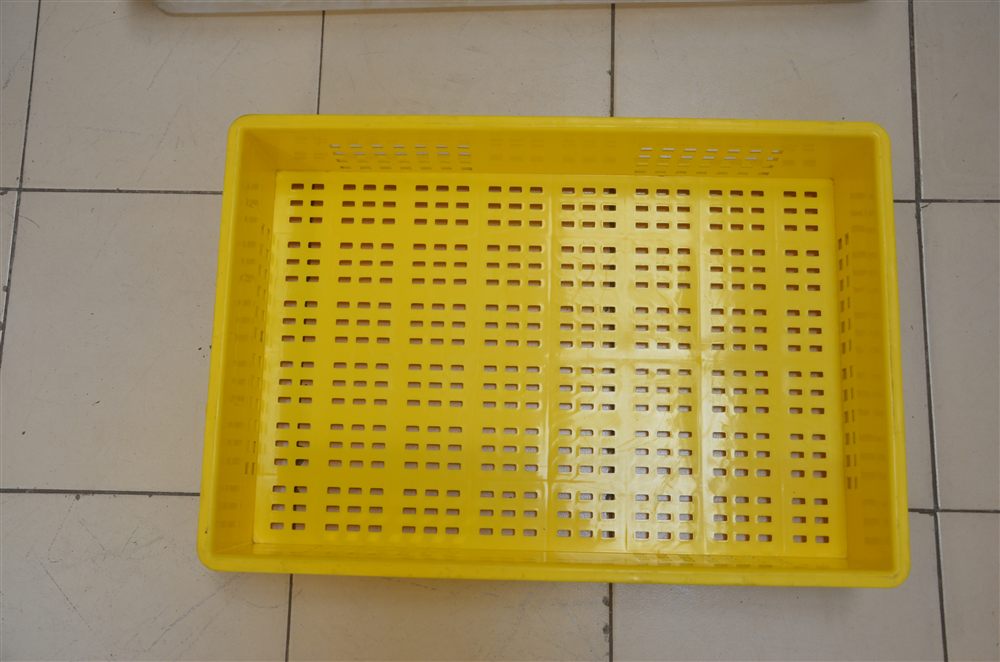 Yellow ventilated plastic hatching basket